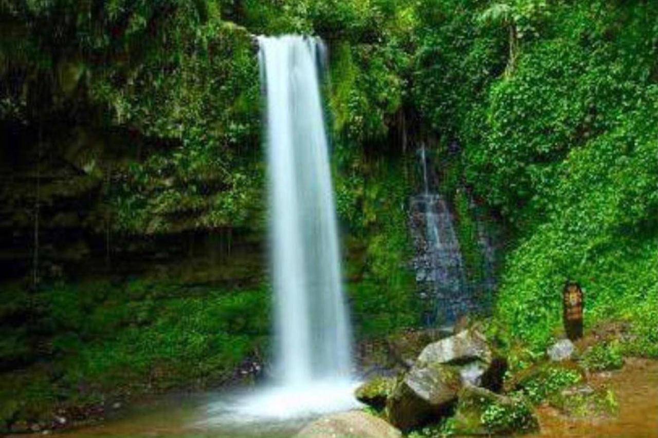Oyo Home 90396 Mahua Rainforest Paradise Tambunan Esterno foto